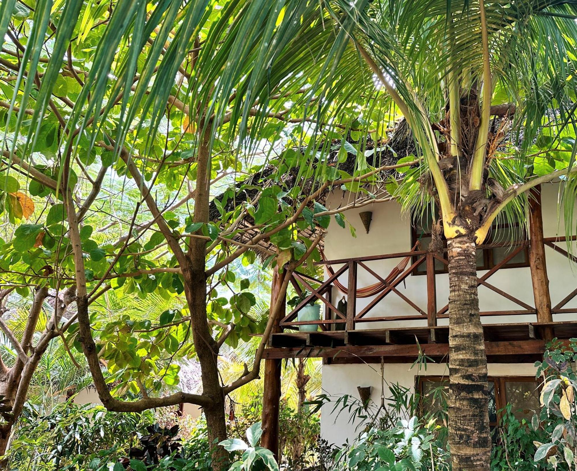 Maisha Nungwi - Boutique Hotel Exterior foto